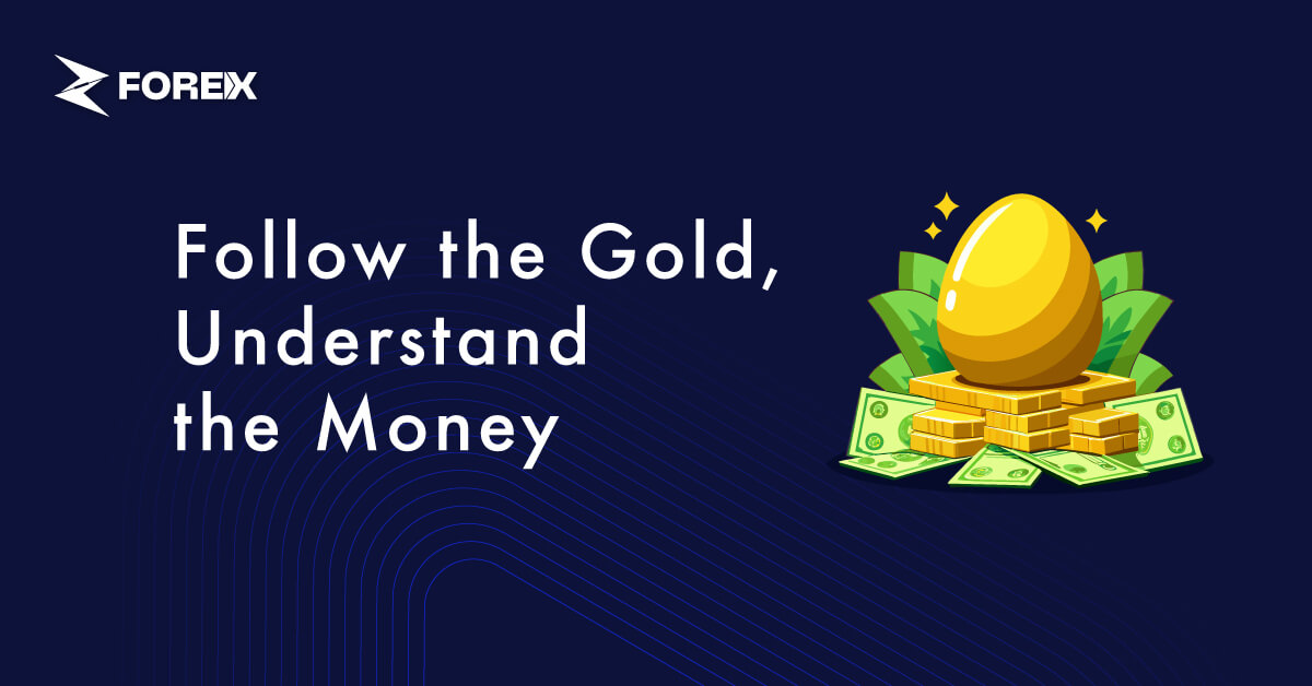 Follow the Gold, Understand the Money