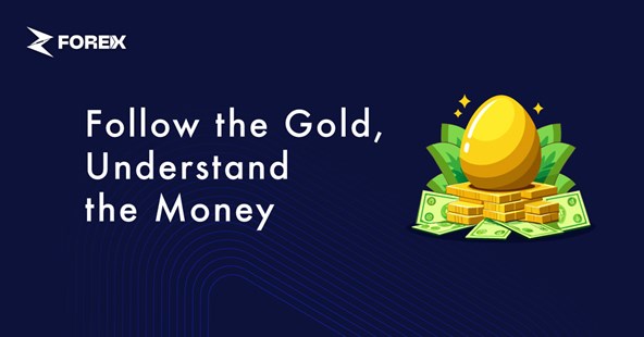 Follow the Gold, Understand the Money