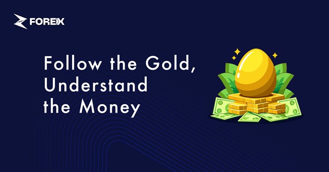 Follow the Gold, Understand the Money