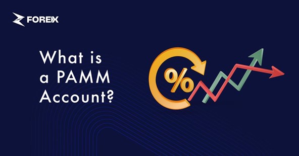 What Is PAMM and How Does It Work?