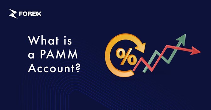 What Is PAMM and How Does It Work?