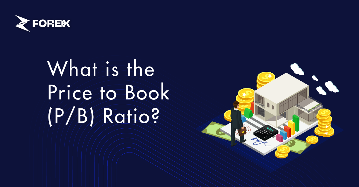 What is the Price to Book (P/B) Ratio?