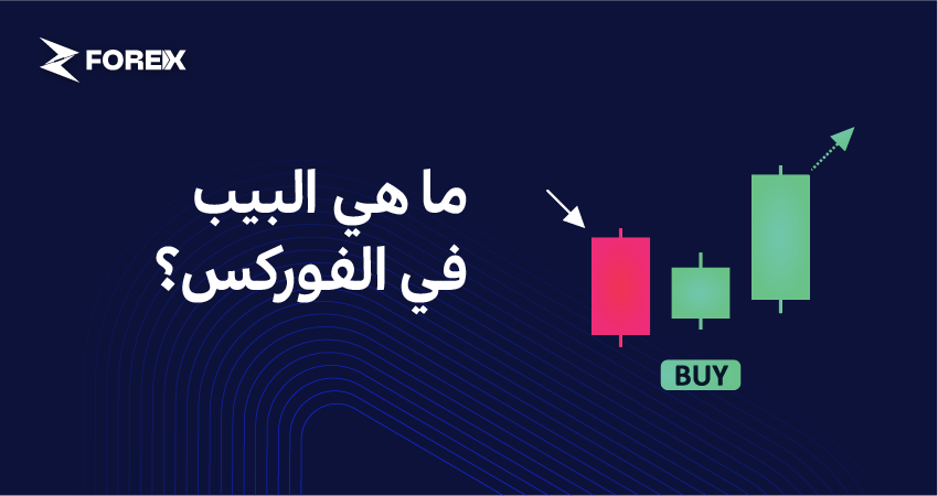 ما هي البيب في الفوركس؟