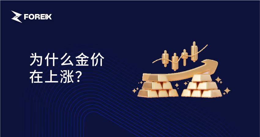 为什么金价在上涨？