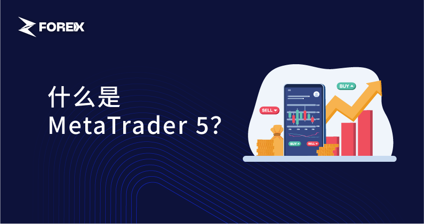 什么是MetaTrader 5？