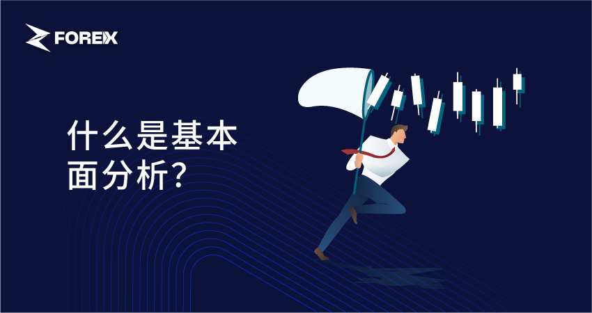 什么是基本面分析？